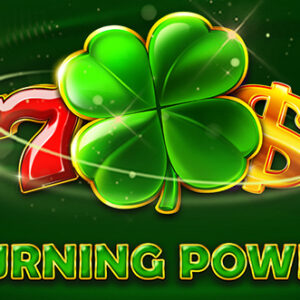 Burning Power Bell Link Boost EGT Digital