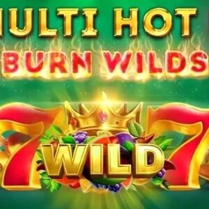 Multi Hot 5 Burn Wilds SmartSoft Gaming