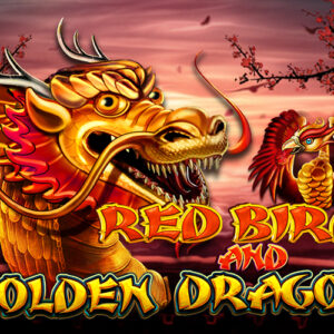 Red Bird and Golden Dragon CT Interactive